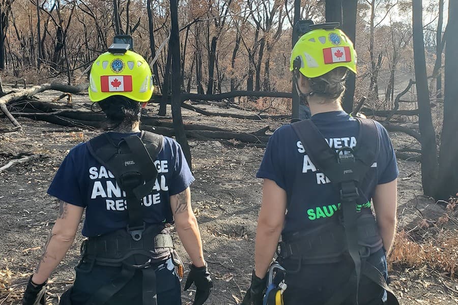 Deux intervenantes de dos dans une forêt calcinée