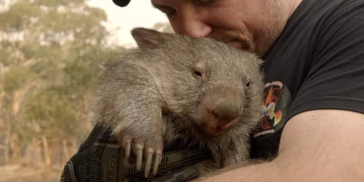 Eric Dussault tenant un wombat orphelin contre lui