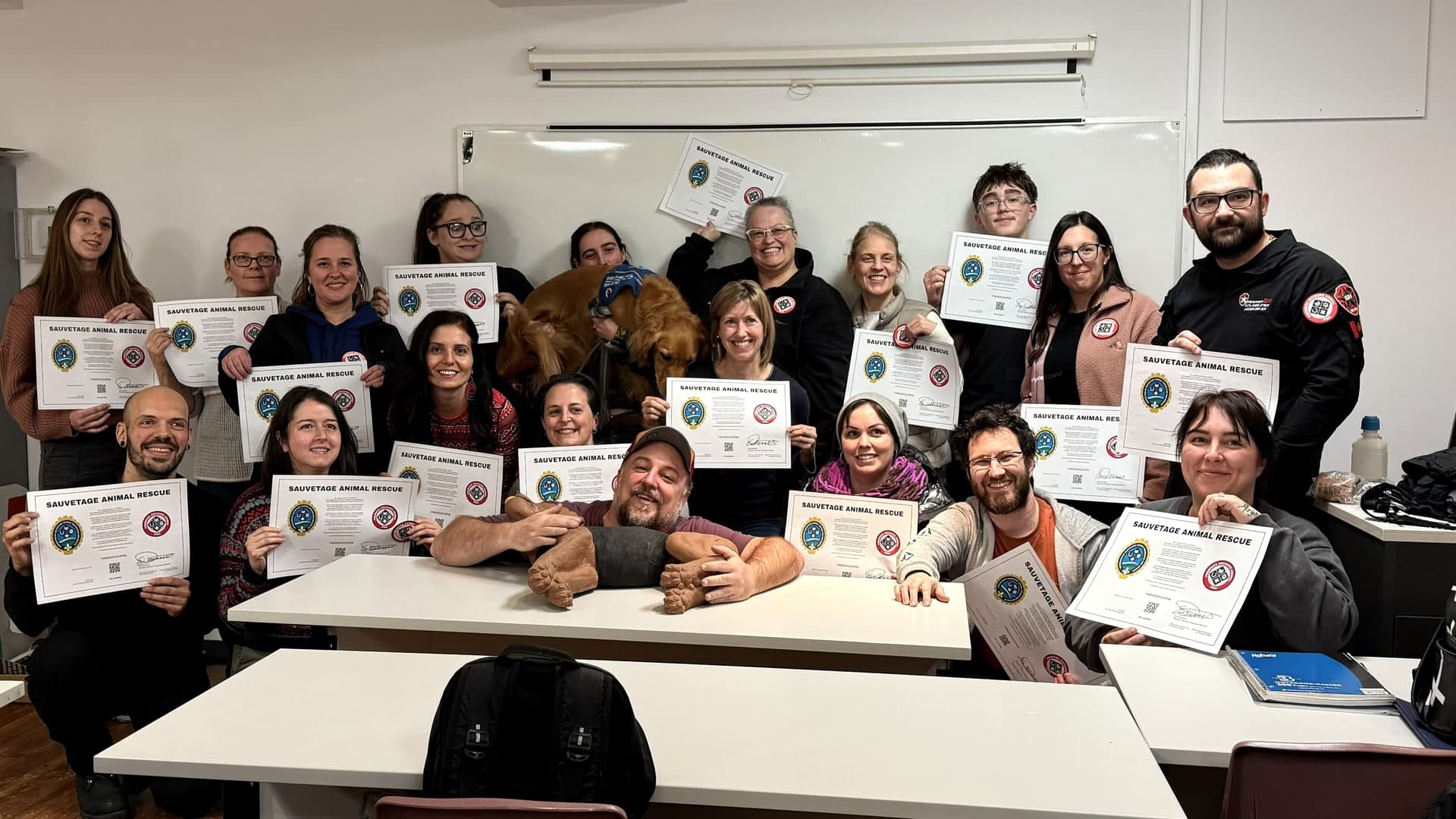 Une formation de premiers secours animaliers donnée par Sauvetage Animal Rescue